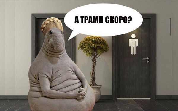 Юлия Тимошенко ждет Дональда Трампа возле туалета