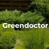 Green Doctor: профессиональный подход к созданию и уходу за газонами
