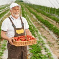 Онлайн газета Фермер Придніпров’я – головний провідник у житті Дніпропетровщини