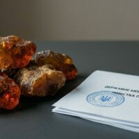 Справа полковників: як Ігор Бріка та Олег Токарчук побудували мільярдний корупційний синдикат на Поліссі під прикриттям «Держгеонадр»
