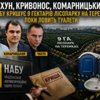 Чихун, Кривонос, Комарницький: 8,85 га лісу, 15 висоток, 540 млн бюджету — і свояк, який усе прикриє